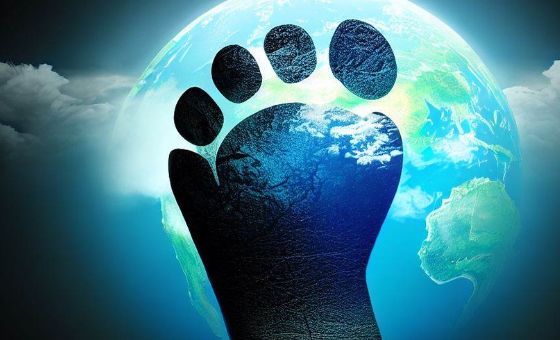 Carbon Footprint: Unraveling Corporate Investments and the World of Carbon Credits