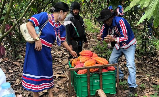 Philippines: Indigenous knowledge takes on climate crisis