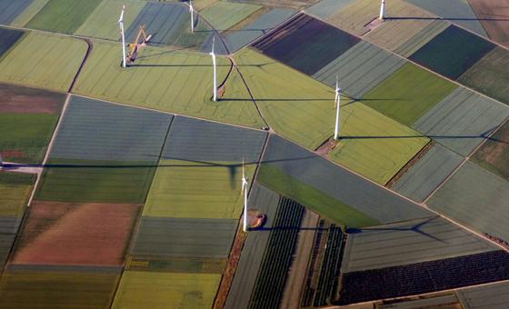 ‘Without renewables, there can be no future’: 5 ways to power the transition to renewable energy