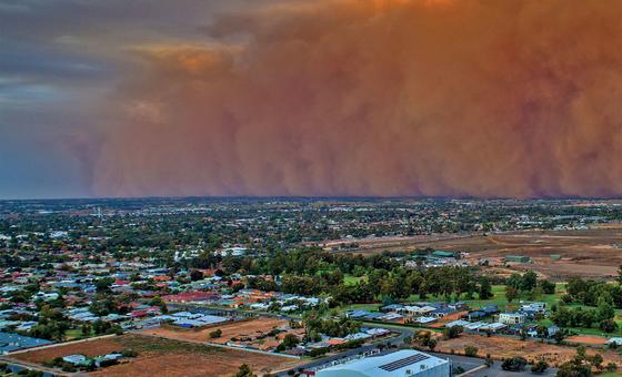 World News in Brief: Sandstorm alert, albinism and climate change, rights in Peru