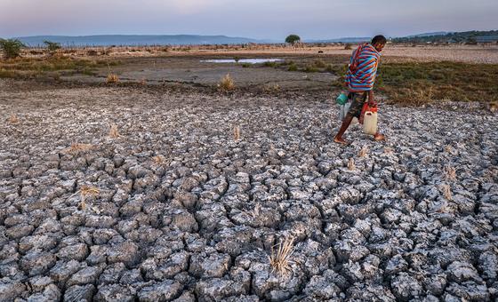 Science points to ‘climate collapse’ as UN chief calls COP28 to action