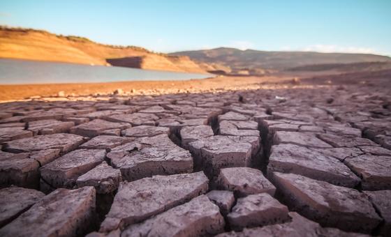 Explainer: What’s COP28 and why is it important?