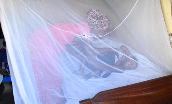 Climate change risks upending global fight against malaria