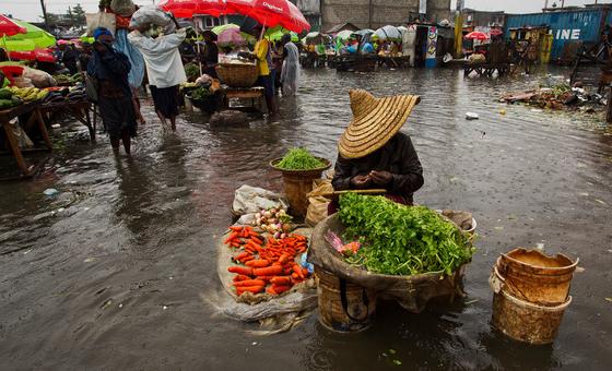 Global agrifood systems are the climate solution, new FAO report highlights 