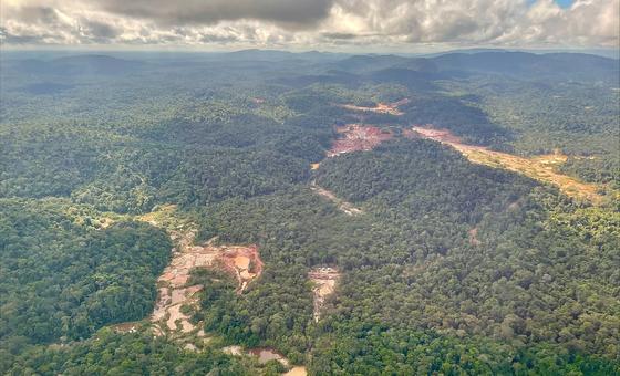 COP28: UN chief previews panel on management of minerals essential for green energy transition